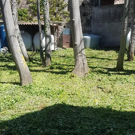 Bed & Breakfast Sentiti A Casa