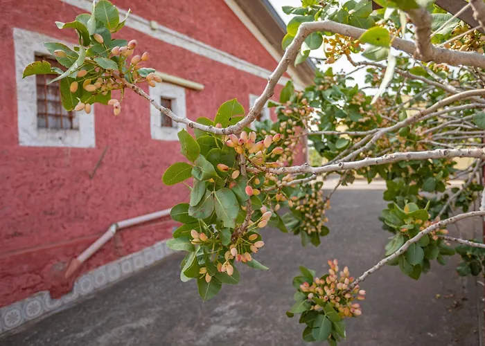 Sentiti A Casa - Bed and Breakfast